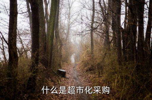 超市化采購什么意思，什么是超市化采購