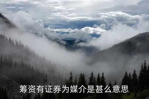 沒(méi)有以證券為媒介什么意思，籌資有證券為媒介是甚么意思