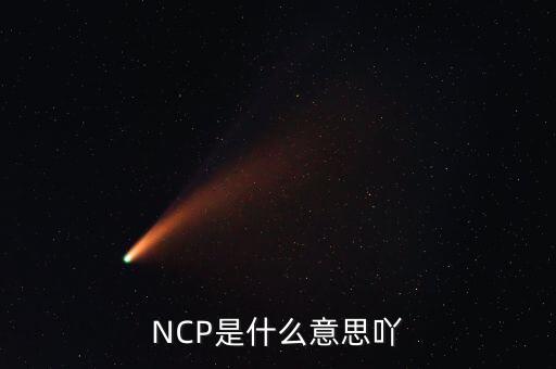 可比企業(yè)ncp是什么簡稱，NCP是什么意思吖