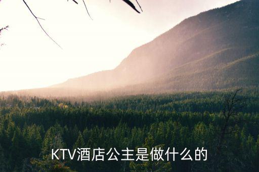 酒店出臺是干什么的，KTV酒店公主是做什么的