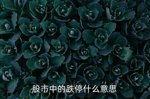 跌停是什么意思，跌停是什么意思