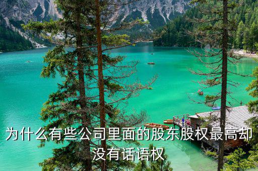為什么持股少的沒(méi)什么權(quán)利，投資多的一方又叫第三方投資原投資少的一方有什么權(quán)利