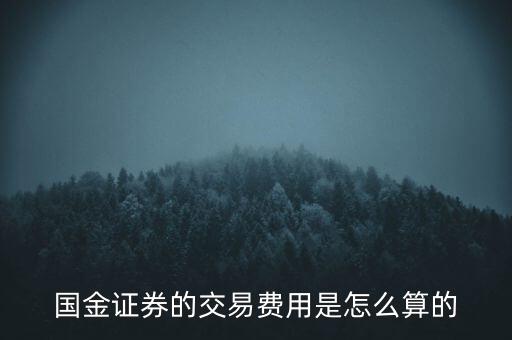 國金融資開倉費用是什么，國金證券的交易費用是怎么算的