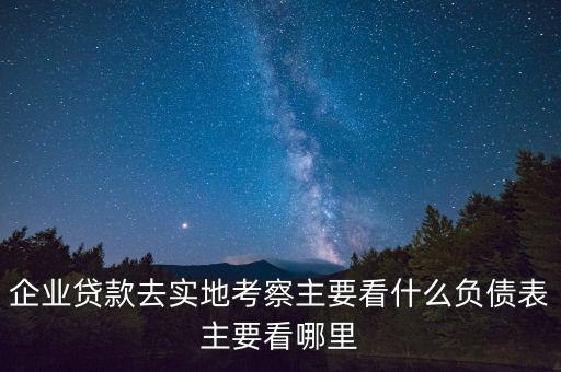 貸款實(shí)地考察做些什么，企業(yè)貸款去實(shí)地考察主要看什么負(fù)債表主要看哪里