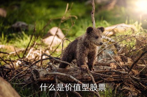 什么叫價(jià)值型個(gè)股，價(jià)值形股票是指什么