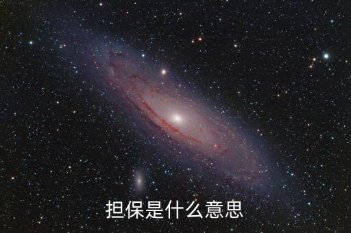 擔保是什么意思
