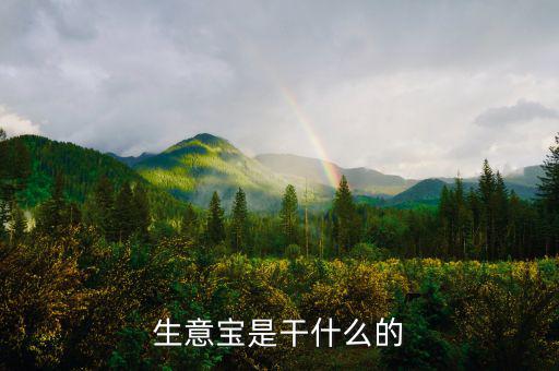 生意寶屬于什么版塊，生意寶聽說過嗎聽說能快速賺錢是真的假的