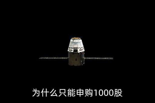 申購新股為什么只能申購1000股，為什么只能申購1000股