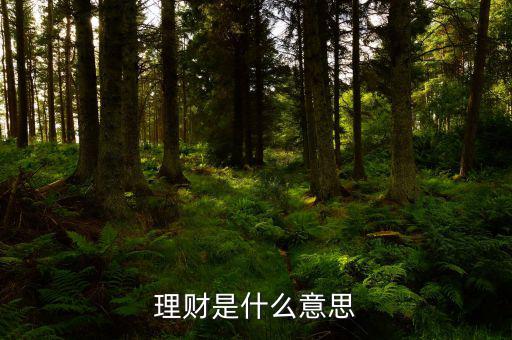 理財市場是什么，理財是什么意思