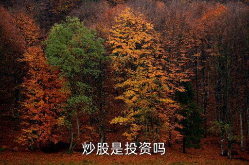 炒股算投資還是什么，炒股是投資嗎