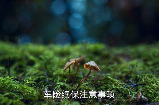 三大優(yōu)質(zhì)業(yè)務(wù)續(xù)保需要注意什么，保險(xiǎn)要到期了問一下續(xù)保需要注意啥