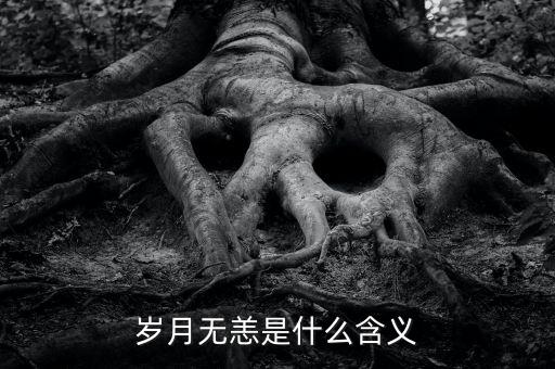 aapl是什么意思，PRQ是什么意思