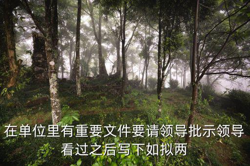 在單位里有重要文件要請(qǐng)領(lǐng)導(dǎo)批示領(lǐng)導(dǎo)看過(guò)之后寫(xiě)下如擬兩