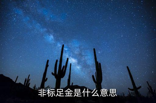 什么是金融非標(biāo)產(chǎn)品，什么叫非標(biāo)融資
