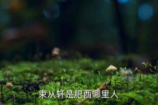 朱從玖肥西什么地方人，kimson肥西是哪里人