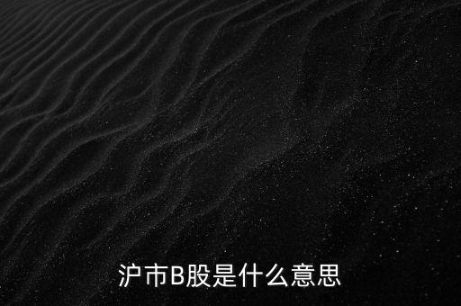 滬深b股是什么意思，滬市B股是什么意思