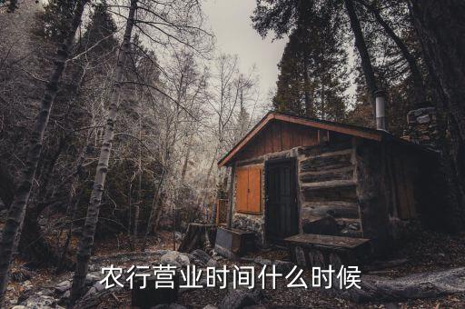 農(nóng)行什么時候上班，農(nóng)行上班時間