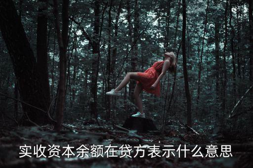 什么是資本余額，什么是資本性資金誰(shuí)知道請(qǐng)告訴我謝謝