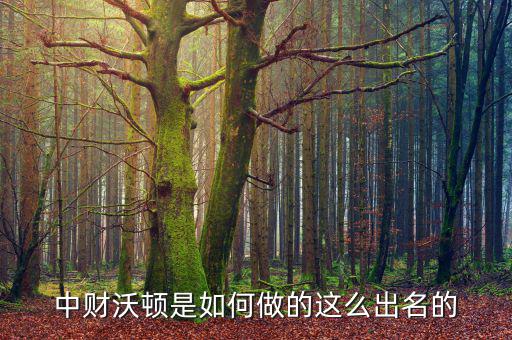 中財沃頓是做什么的，大家有沒有做過中財沃頓的理財投資這公司是做什么產品的