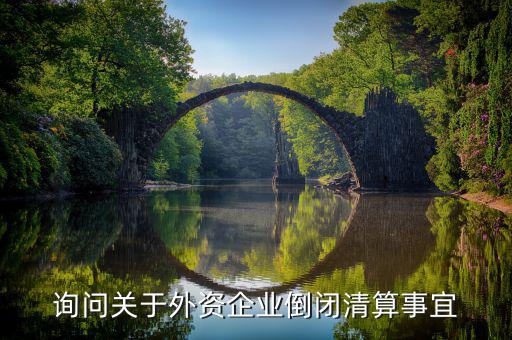 沈陽投資公司跑路市政府什么解決，詢問關(guān)于外資企業(yè)倒閉清算事宜