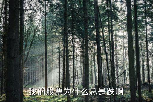 捷城股份為什么一直跌，有被捷成投資騙的人嗎咱們一起去告他