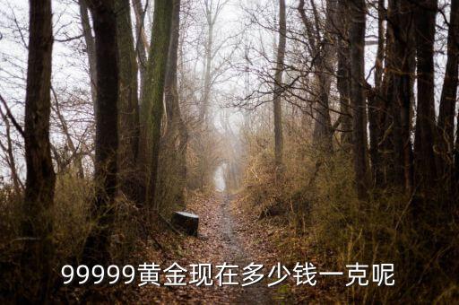 黃金現(xiàn)在什么價格一克，黃金現(xiàn)在多少錢一克