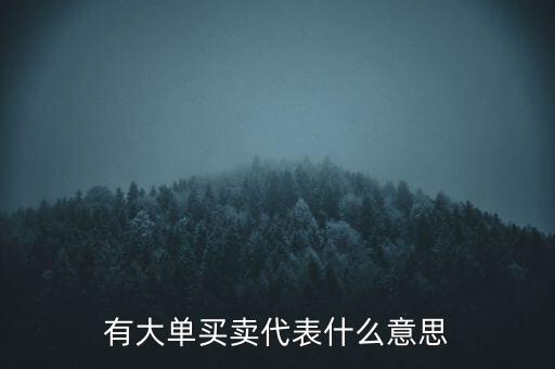 在買5成交有大單是什么意思，股票中大單是什么意思
