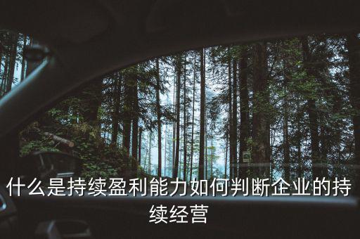 什么是持續(xù)盈利能力，什么是具備持續(xù)贏利能力的行業(yè)