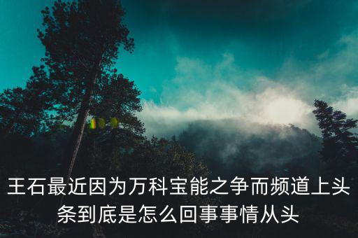 王石現(xiàn)在忙什么，王石現(xiàn)在在干什么