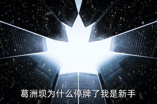 葛洲壩為什么停牌，葛洲壩為什么8月21日停牌