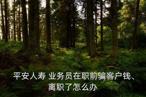  平安人壽 業(yè)務(wù)員在職前騙客戶錢、離職了怎么辦