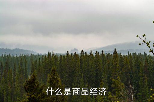 什么是商品經濟
