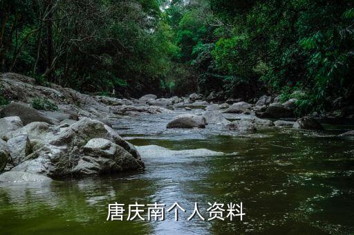 唐慶南為什么被逮捕，唐慶南被判刑