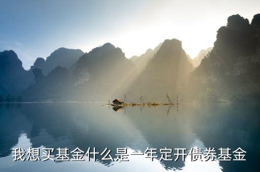 定開債券是什么意思，我想買基金什么是一年定開債券基金