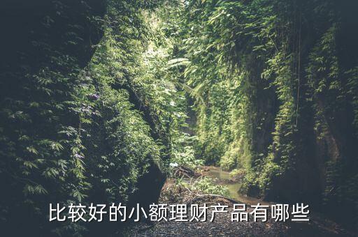 有什么小額理財產(chǎn)品，小額理財投資產(chǎn)品有哪些