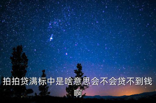拍拍貨不滿標什么意思，拍拍貸滿標是什么意思
