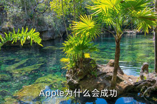 蘋果為什么能成功，為什么蘋果能做的很成功