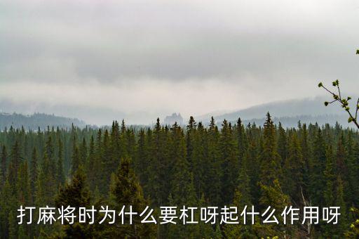 為什么要用杠桿，為什么有些杠桿要設(shè)計成費力的呢