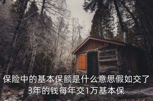 基本保額是什么意思，基本保險金額是什么意思