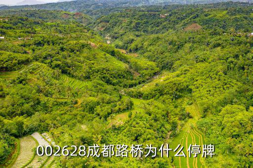 成都路橋今天什么情況，今天早成都等路橋的航班有沒有停航
