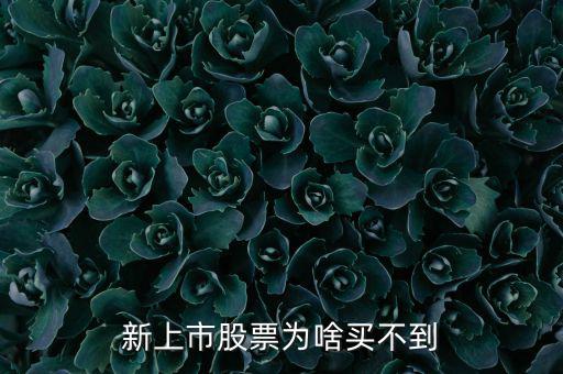 為什么新股我總買不到，新上市股票為啥買不到