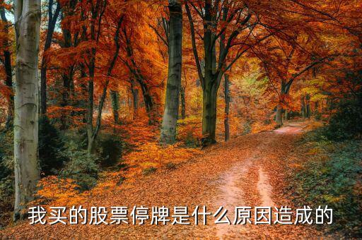 美達(dá)股份為什么停牌，我買(mǎi)的股票停牌是什么原因造成的