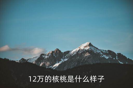 36萬核桃長什么樣，大家看這個核桃做的怎樣值多少