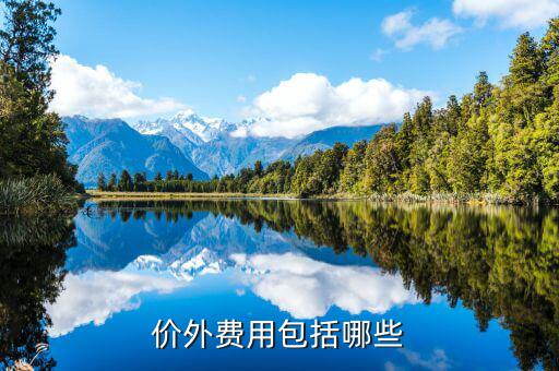 政府性基金是什么意思，何為政府性資金國(guó)有企業(yè)投資時(shí)其資本金部分算不算政府資金