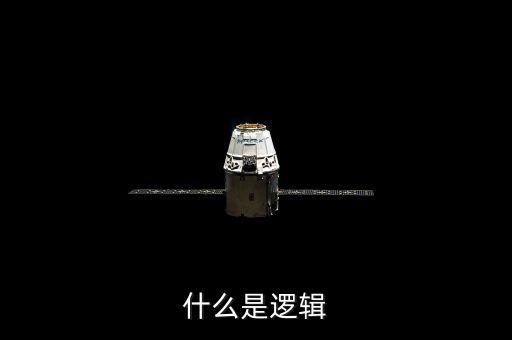 邏輯是什么，什么是邏輯
