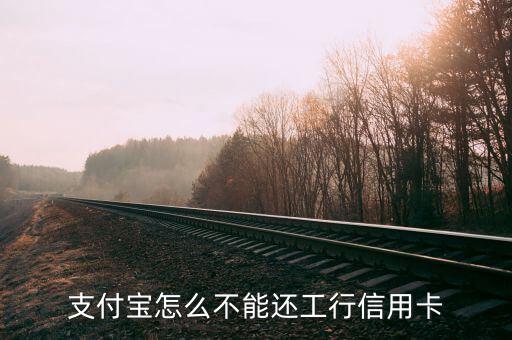 支付寶為什么不能還信用卡，支付寶怎么不能還工行信用卡