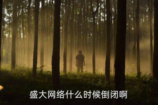 美國(guó)盛大游戲什么時(shí)間退市，盛大倒閉確切日期