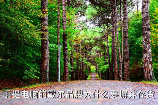 戴爾用信息代替庫(kù)存的后果是什么，我的筆記本電腦是DELL的前幾天買的人家二手貨他把系統(tǒng)的信