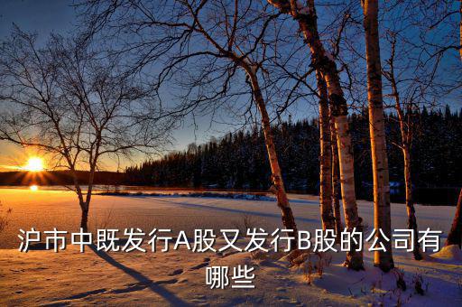 上市公司既生a股又發(fā)行了b股的有什么公司，滬市中既發(fā)行A股又發(fā)行B股的公司有哪些
