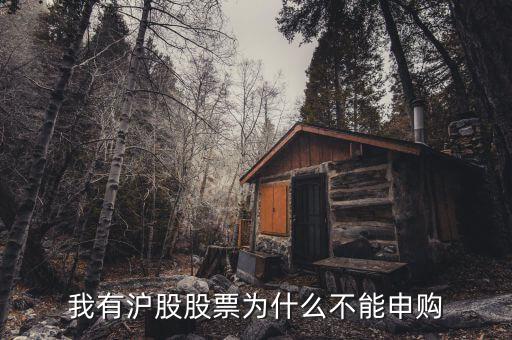 為什么我不能申購滬市新股，我有滬股股票為什么不能申購